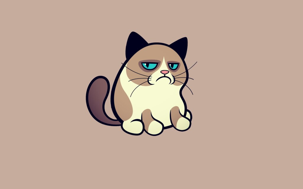 угрюмая кошка, сердитая кошка, грустная кошка, мем нет с котом, родители Grumpy cat, родители сердитого котика, почему Grumpy cat так выглядит, почему грампи кэт так выглядит, почему сердитый котик так выглядит, почему у сердитого котика такая морда, грампи кэт, грампи кет, Tardar Sauce, tard, tartar sauce, grumpy cat, sad cat. угрюмый кот, сердитый кот, злой кот, печальный кот, сердитый котик, мем с котом, угрюмый кот мем, откуда мем угрюмый кот, откуда мем сердитый кот