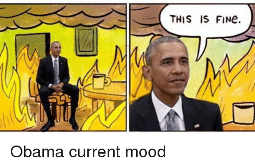 this-is-fine-obama-current-mood-6746355