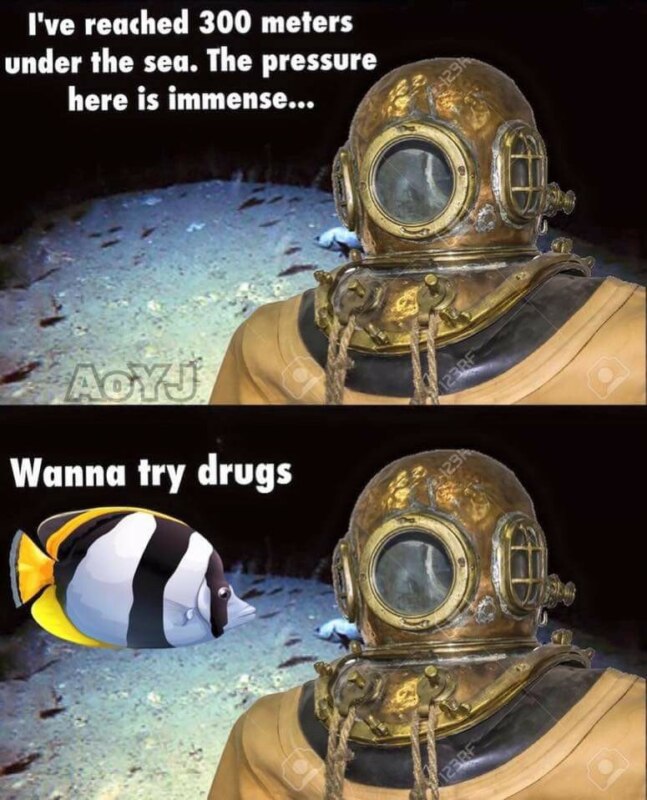 wanna try drugs Я на глубине 300 метров Здесь на меня оказывается сильнейшее давление, Я на глубине 300 метров, на меня оказывается сильнейшее давление, водолаз мем, дайвер мем, водолаз и рыбка, водолаз в старом скафандре мем, аквалангист мем, аквалингист и рыбка мем, комикс с рыбкой и аквалангистом, wanna try drugs, откуда мем с аквалангистом и рыбкой, откуда мем с водолазом и рыбкой