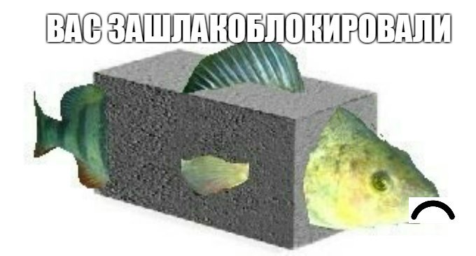 зашлакоблокировали