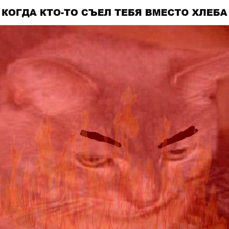 кот это хлеб