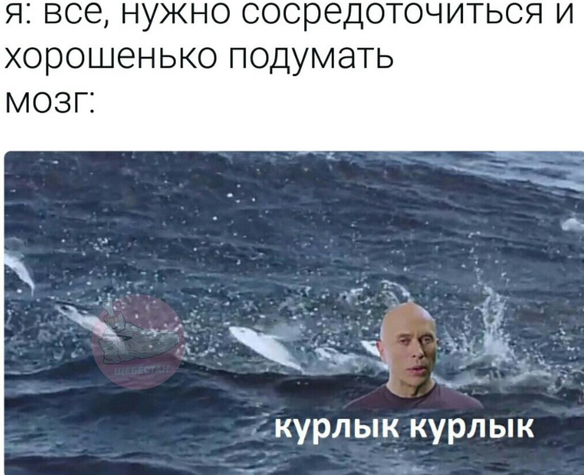 мем дружко шоу 5