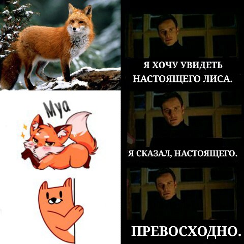 рыжий лис игра, рыжий лис мемы, что за рыжий лис, рыжий лис вк, мемы с рыжим лисом, рыжий лис синий кит, свежие мемы, какой мем популярен, стикеры вк, как получить стикер лис