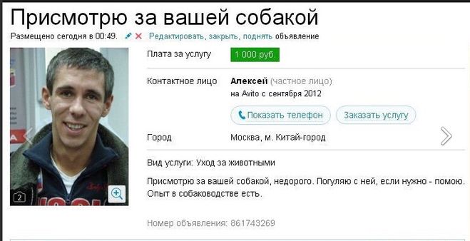 мемы с алексеем паниным
