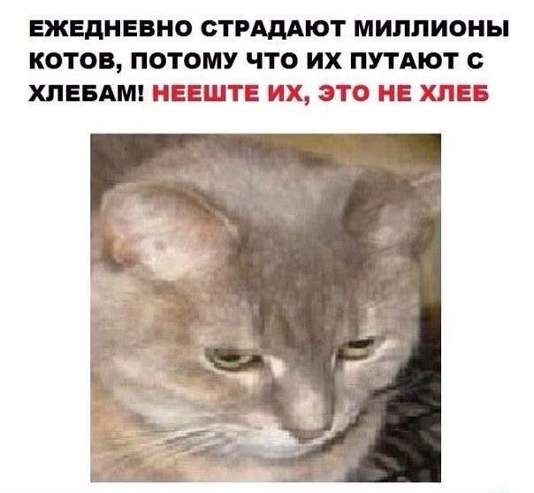 нееште