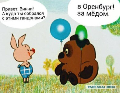 оренбург пчелки