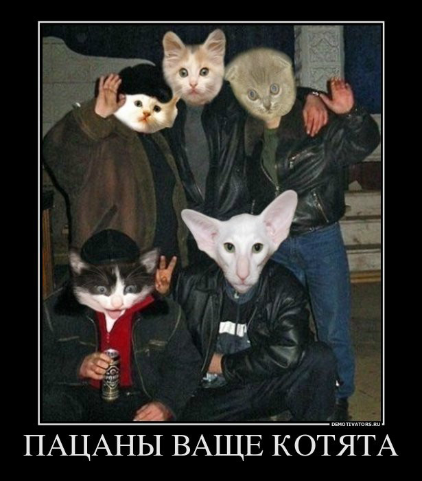 пацаны вообще ребята
