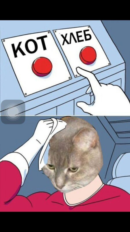 подумой нееш