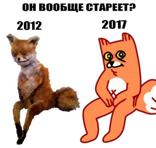 рыжий лис игра, рыжий лис мемы, что за рыжий лис, рыжий лис вк, мемы с рыжим лисом, рыжий лис синий кит, свежие мемы, какой мем популярен, стикеры вк, как получить стикер лис