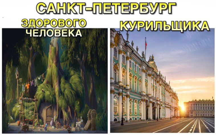 санкт петербург шрек