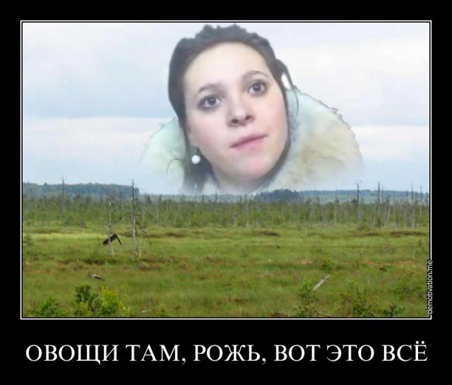 света иваново мем