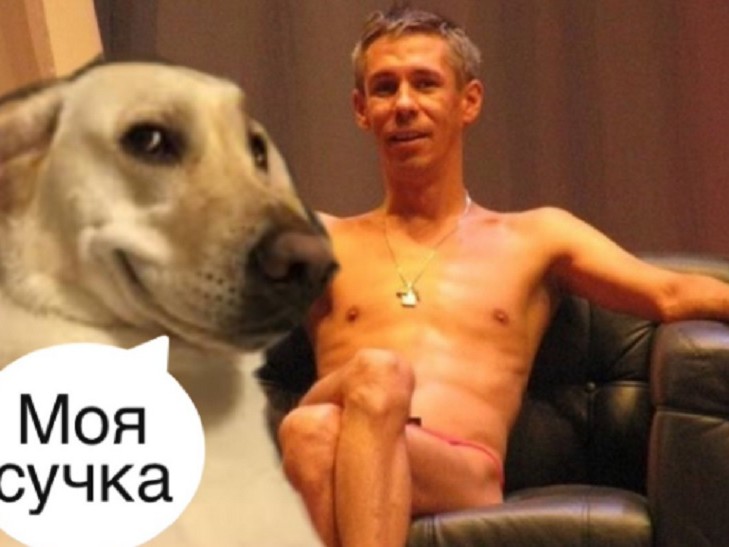 собака панин