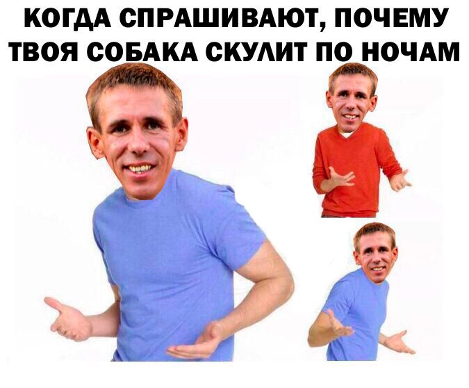 собака панина