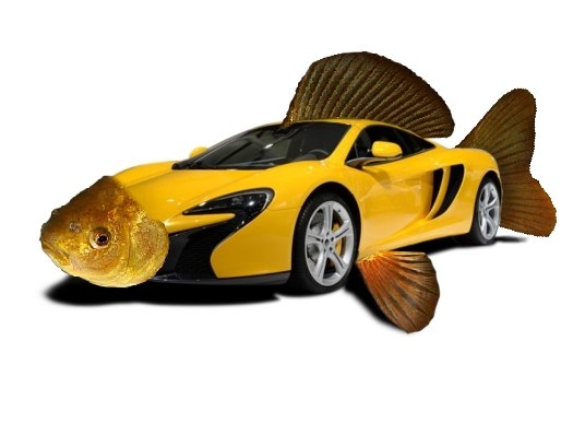 спорткарась