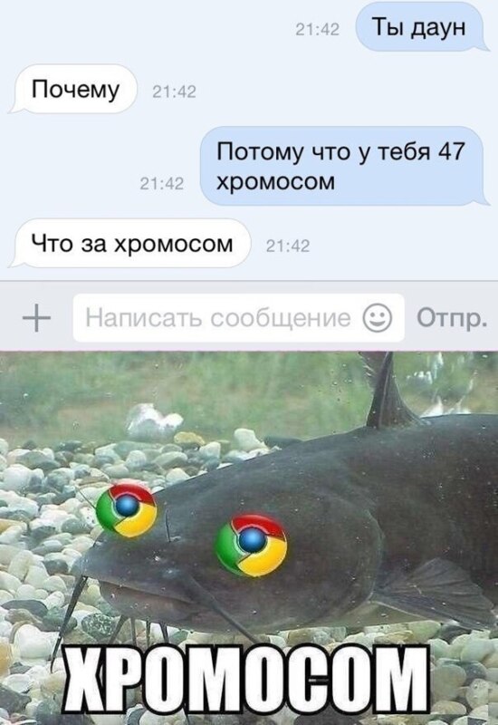 хромосом
