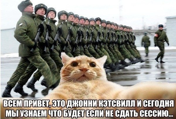 рыжий кот, рыжий кот мем, мем рыжий кот, мем с рыжим котом, откуда мем рыжий кот, откуда мем с рыжим котом, джонни кэтсвилл, джони кэтсвилл, джонни кэтсвил, джони кэтсвил, джонни кетсвилл, джони кетсвилл, джонни кетсвил, джони кетсвил, мем джонни кэтсвилл, мем джони кэтсвилл, мем джонни кэтсвил, мем джони кэтсвил, джонни кэтсвилл мем, джони кэтсвилл мем, джонни кэтсвил мем, джони кэтсвил мем, кот блогер мем, мем кот-блогер, кот-блогер мем, мем кот блогер, чудаки, джонни ноксвилл, почему джонни кэтсвилл, почему мем называется джонни кэтсвилл, джонни кэтсвилл оригинал, джонни кэтсвилл шаблон, джонни кэтсвилл приколы, приколы джонни кэтсвилл, джонни кэтсвилл происхождение мема, происхождение мема джонни кэтсвилл, Johnny Knoxville, джонни ноксвилл, кого пародирует джонни кэтсвилл, jackass, чудаки