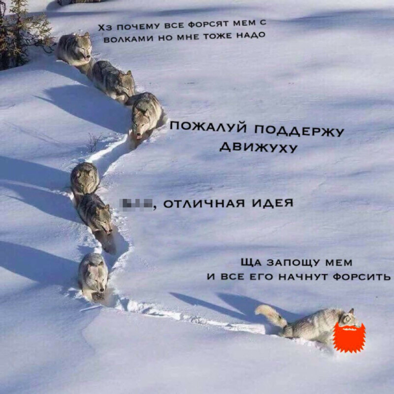 Шерстяной волчара, Боже как я хорош, шерстяной волчара боже как я хорош, как я хорош, как я хорош как мощны мои лапищи, как мощны мои лапищи, мем со стаей волков, стая волков мем, волки в снегах мем