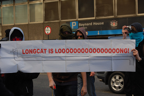 Anonymouses_Longcat