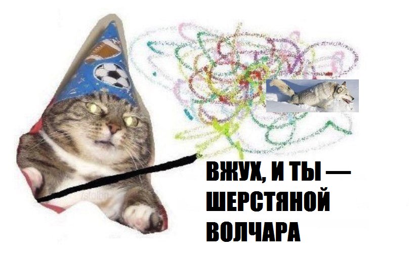 Шерстяной волчара, Боже как я хорош, шерстяной волчара боже как я хорош, как я хорош, как я хорош как мощны мои лапищи, как мощны мои лапищи, мем со стаей волков, стая волков мем, волки в снегах мем