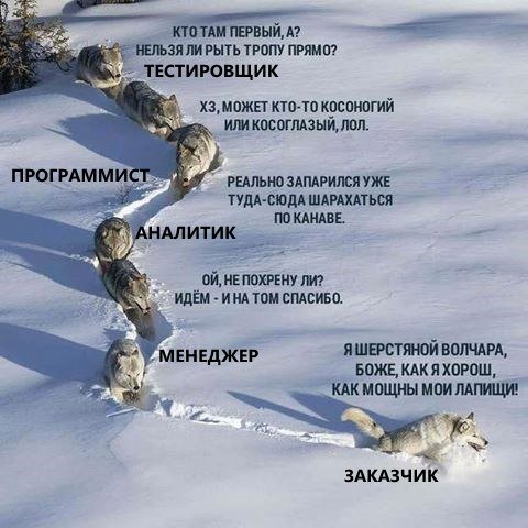 Шерстяной волчара, Боже как я хорош, шерстяной волчара боже как я хорош, как я хорош, как я хорош как мощны мои лапищи, как мощны мои лапищи, мем со стаей волков, стая волков мем, волки в снегах мем