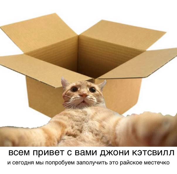 рыжий кот, рыжий кот мем, мем рыжий кот, мем с рыжим котом, откуда мем рыжий кот, откуда мем с рыжим котом, джонни кэтсвилл, джони кэтсвилл, джонни кэтсвил, джони кэтсвил, джонни кетсвилл, джони кетсвилл, джонни кетсвил, джони кетсвил, мем джонни кэтсвилл, мем джони кэтсвилл, мем джонни кэтсвил, мем джони кэтсвил, джонни кэтсвилл мем, джони кэтсвилл мем, джонни кэтсвил мем, джони кэтсвил мем, кот блогер мем, мем кот-блогер, кот-блогер мем, мем кот блогер, чудаки, джонни ноксвилл, почему джонни кэтсвилл, почему мем называется джонни кэтсвилл, джонни кэтсвилл оригинал, джонни кэтсвилл шаблон, джонни кэтсвилл приколы, приколы джонни кэтсвилл, джонни кэтсвилл происхождение мема, происхождение мема джонни кэтсвилл, Johnny Knoxville, джонни ноксвилл, кого пародирует джонни кэтсвилл, jackass, чудаки