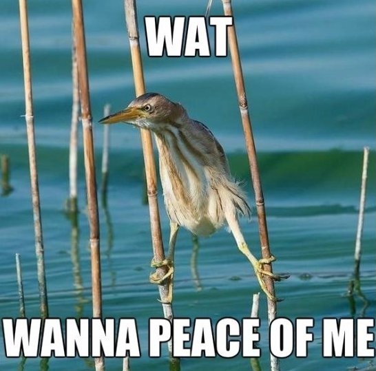 Wanna-Peace-Of-Me