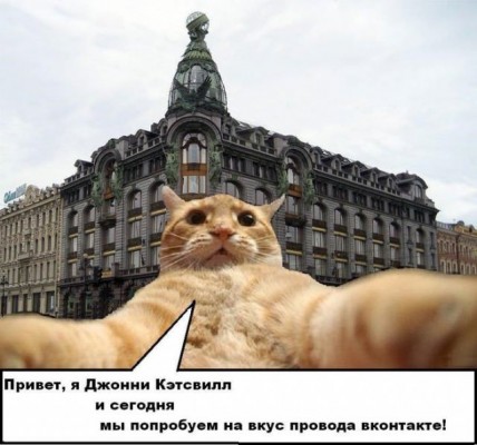 рыжий кот, рыжий кот мем, мем рыжий кот, мем с рыжим котом, откуда мем рыжий кот, откуда мем с рыжим котом, джонни кэтсвилл, джони кэтсвилл, джонни кэтсвил, джони кэтсвил, джонни кетсвилл, джони кетсвилл, джонни кетсвил, джони кетсвил, мем джонни кэтсвилл, мем джони кэтсвилл, мем джонни кэтсвил, мем джони кэтсвил, джонни кэтсвилл мем, джони кэтсвилл мем, джонни кэтсвил мем, джони кэтсвил мем, кот блогер мем, мем кот-блогер, кот-блогер мем, мем кот блогер, чудаки, джонни ноксвилл, почему джонни кэтсвилл, почему мем называется джонни кэтсвилл, джонни кэтсвилл оригинал, джонни кэтсвилл шаблон, джонни кэтсвилл приколы, приколы джонни кэтсвилл, джонни кэтсвилл происхождение мема, происхождение мема джонни кэтсвилл, Johnny Knoxville, джонни ноксвилл, кого пародирует джонни кэтсвилл, jackass, чудаки