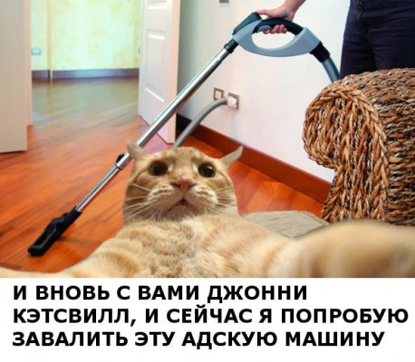 рыжий кот, рыжий кот мем, мем рыжий кот, мем с рыжим котом, откуда мем рыжий кот, откуда мем с рыжим котом, джонни кэтсвилл, джони кэтсвилл, джонни кэтсвил, джони кэтсвил, джонни кетсвилл, джони кетсвилл, джонни кетсвил, джони кетсвил, мем джонни кэтсвилл, мем джони кэтсвилл, мем джонни кэтсвил, мем джони кэтсвил, джонни кэтсвилл мем, джони кэтсвилл мем, джонни кэтсвил мем, джони кэтсвил мем, кот блогер мем, мем кот-блогер, кот-блогер мем, мем кот блогер, чудаки, джонни ноксвилл, почему джонни кэтсвилл, почему мем называется джонни кэтсвилл, джонни кэтсвилл оригинал, джонни кэтсвилл шаблон, джонни кэтсвилл приколы, приколы джонни кэтсвилл, джонни кэтсвилл происхождение мема, происхождение мема джонни кэтсвилл, Johnny Knoxville, джонни ноксвилл, кого пародирует джонни кэтсвилл, jackass, чудаки