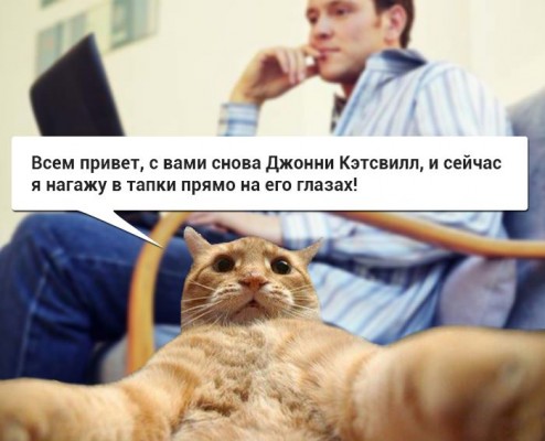 рыжий кот, рыжий кот мем, мем рыжий кот, мем с рыжим котом, откуда мем рыжий кот, откуда мем с рыжим котом, джонни кэтсвилл, джони кэтсвилл, джонни кэтсвил, джони кэтсвил, джонни кетсвилл, джони кетсвилл, джонни кетсвил, джони кетсвил, мем джонни кэтсвилл, мем джони кэтсвилл, мем джонни кэтсвил, мем джони кэтсвил, джонни кэтсвилл мем, джони кэтсвилл мем, джонни кэтсвил мем, джони кэтсвил мем, кот блогер мем, мем кот-блогер, кот-блогер мем, мем кот блогер, чудаки, джонни ноксвилл, почему джонни кэтсвилл, почему мем называется джонни кэтсвилл, джонни кэтсвилл оригинал, джонни кэтсвилл шаблон, джонни кэтсвилл приколы, приколы джонни кэтсвилл, джонни кэтсвилл происхождение мема, происхождение мема джонни кэтсвилл, Johnny Knoxville, джонни ноксвилл, кого пародирует джонни кэтсвилл, jackass, чудаки