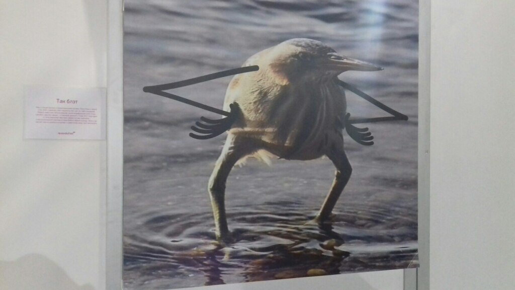 hVhhnguoHVo