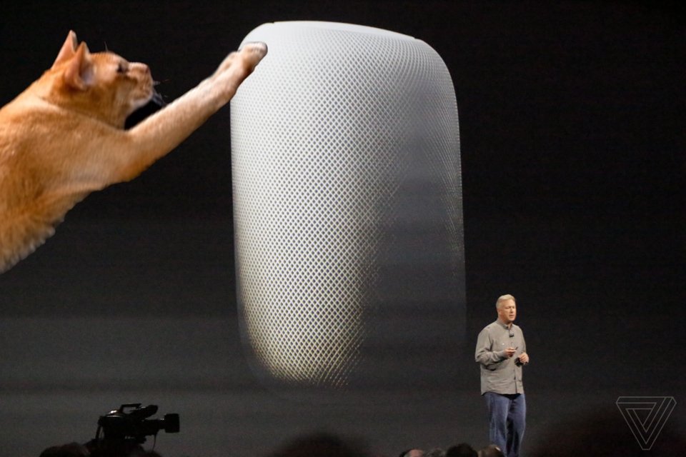 homepod siri