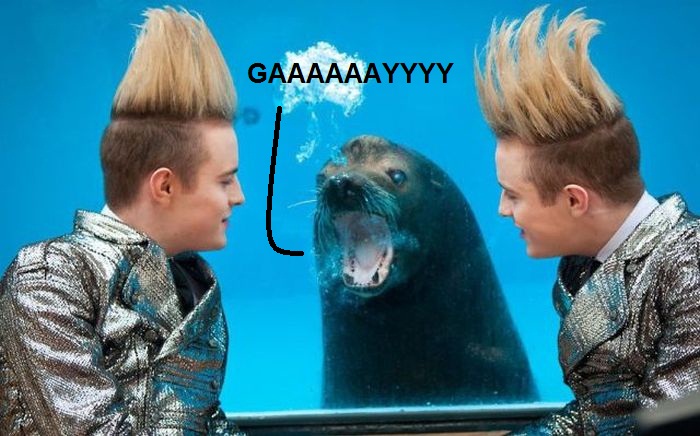 homophobic-seal