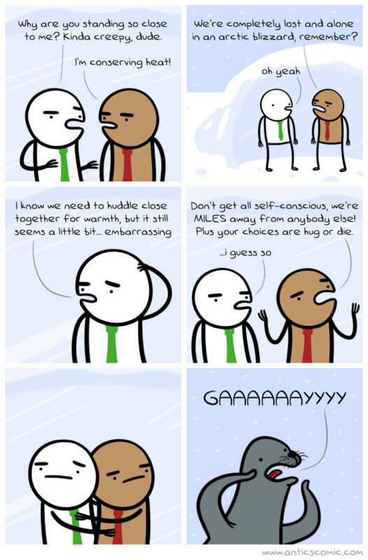 homophobic seal