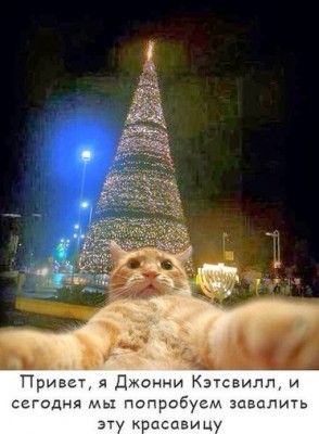 рыжий кот, рыжий кот мем, мем рыжий кот, мем с рыжим котом, откуда мем рыжий кот, откуда мем с рыжим котом, джонни кэтсвилл, джони кэтсвилл, джонни кэтсвил, джони кэтсвил, джонни кетсвилл, джони кетсвилл, джонни кетсвил, джони кетсвил, мем джонни кэтсвилл, мем джони кэтсвилл, мем джонни кэтсвил, мем джони кэтсвил, джонни кэтсвилл мем, джони кэтсвилл мем, джонни кэтсвил мем, джони кэтсвил мем, кот блогер мем, мем кот-блогер, кот-блогер мем, мем кот блогер, чудаки, джонни ноксвилл, почему джонни кэтсвилл, почему мем называется джонни кэтсвилл, джонни кэтсвилл оригинал, джонни кэтсвилл шаблон, джонни кэтсвилл приколы, приколы джонни кэтсвилл, джонни кэтсвилл происхождение мема, происхождение мема джонни кэтсвилл, Johnny Knoxville, джонни ноксвилл, кого пародирует джонни кэтсвилл, jackass, чудаки