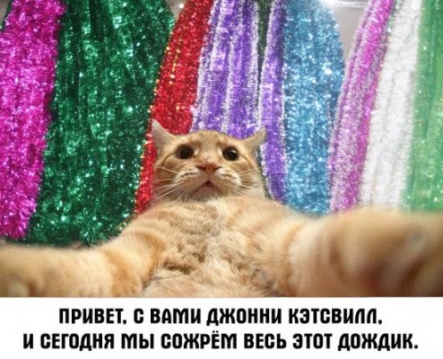 рыжий кот, рыжий кот мем, мем рыжий кот, мем с рыжим котом, откуда мем рыжий кот, откуда мем с рыжим котом, джонни кэтсвилл, джони кэтсвилл, джонни кэтсвил, джони кэтсвил, джонни кетсвилл, джони кетсвилл, джонни кетсвил, джони кетсвил, мем джонни кэтсвилл, мем джони кэтсвилл, мем джонни кэтсвил, мем джони кэтсвил, джонни кэтсвилл мем, джони кэтсвилл мем, джонни кэтсвил мем, джони кэтсвил мем, кот блогер мем, мем кот-блогер, кот-блогер мем, мем кот блогер, чудаки, джонни ноксвилл, почему джонни кэтсвилл, почему мем называется джонни кэтсвилл, джонни кэтсвилл оригинал, джонни кэтсвилл шаблон, джонни кэтсвилл приколы, приколы джонни кэтсвилл, джонни кэтсвилл происхождение мема, происхождение мема джонни кэтсвилл, Johnny Knoxville, джонни ноксвилл, кого пародирует джонни кэтсвилл, jackass, чудаки