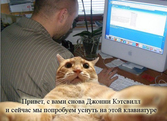 рыжий кот, рыжий кот мем, мем рыжий кот, мем с рыжим котом, откуда мем рыжий кот, откуда мем с рыжим котом, джонни кэтсвилл, джони кэтсвилл, джонни кэтсвил, джони кэтсвил, джонни кетсвилл, джони кетсвилл, джонни кетсвил, джони кетсвил, мем джонни кэтсвилл, мем джони кэтсвилл, мем джонни кэтсвил, мем джони кэтсвил, джонни кэтсвилл мем, джони кэтсвилл мем, джонни кэтсвил мем, джони кэтсвил мем, кот блогер мем, мем кот-блогер, кот-блогер мем, мем кот блогер, чудаки, джонни ноксвилл, почему джонни кэтсвилл, почему мем называется джонни кэтсвилл, джонни кэтсвилл оригинал, джонни кэтсвилл шаблон, джонни кэтсвилл приколы, приколы джонни кэтсвилл, джонни кэтсвилл происхождение мема, происхождение мема джонни кэтсвилл, Johnny Knoxville, джонни ноксвилл, кого пародирует джонни кэтсвилл, jackass, чудаки
