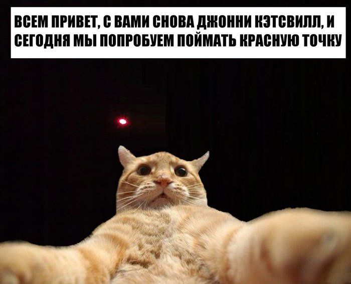 рыжий кот, рыжий кот мем, мем рыжий кот, мем с рыжим котом, откуда мем рыжий кот, откуда мем с рыжим котом, джонни кэтсвилл, джони кэтсвилл, джонни кэтсвил, джони кэтсвил, джонни кетсвилл, джони кетсвилл, джонни кетсвил, джони кетсвил, мем джонни кэтсвилл, мем джони кэтсвилл, мем джонни кэтсвил, мем джони кэтсвил, джонни кэтсвилл мем, джони кэтсвилл мем, джонни кэтсвил мем, джони кэтсвил мем, кот блогер мем, мем кот-блогер, кот-блогер мем, мем кот блогер, чудаки, джонни ноксвилл, почему джонни кэтсвилл, почему мем называется джонни кэтсвилл, джонни кэтсвилл оригинал, джонни кэтсвилл шаблон, джонни кэтсвилл приколы, приколы джонни кэтсвилл, джонни кэтсвилл происхождение мема, происхождение мема джонни кэтсвилл, Johnny Knoxville, джонни ноксвилл, кого пародирует джонни кэтсвилл, jackass, чудаки