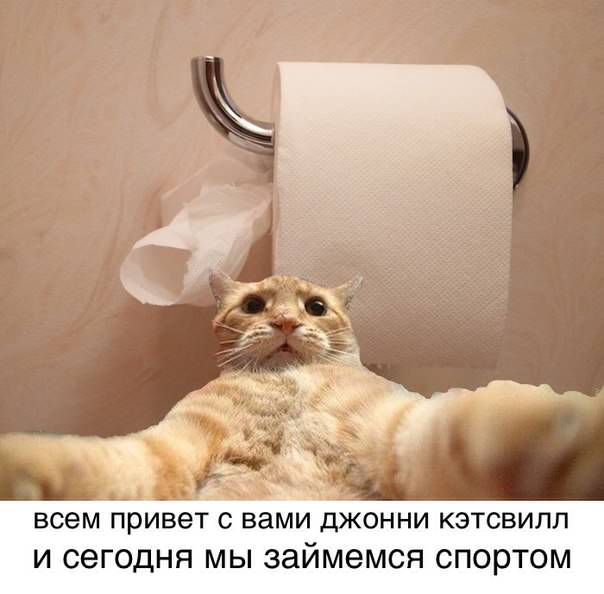 рыжий кот, рыжий кот мем, мем рыжий кот, мем с рыжим котом, откуда мем рыжий кот, откуда мем с рыжим котом, джонни кэтсвилл, джони кэтсвилл, джонни кэтсвил, джони кэтсвил, джонни кетсвилл, джони кетсвилл, джонни кетсвил, джони кетсвил, мем джонни кэтсвилл, мем джони кэтсвилл, мем джонни кэтсвил, мем джони кэтсвил, джонни кэтсвилл мем, джони кэтсвилл мем, джонни кэтсвил мем, джони кэтсвил мем, кот блогер мем, мем кот-блогер, кот-блогер мем, мем кот блогер, чудаки, джонни ноксвилл, почему джонни кэтсвилл, почему мем называется джонни кэтсвилл, джонни кэтсвилл оригинал, джонни кэтсвилл шаблон, джонни кэтсвилл приколы, приколы джонни кэтсвилл, джонни кэтсвилл происхождение мема, происхождение мема джонни кэтсвилл, Johnny Knoxville, джонни ноксвилл, кого пародирует джонни кэтсвилл, jackass, чудаки