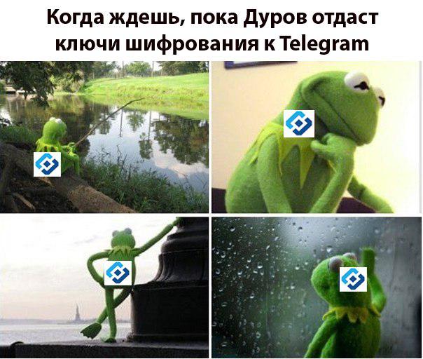 блокировка telegram (11)