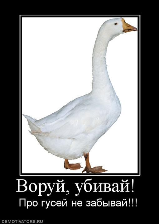 воруй убивай еби гусей