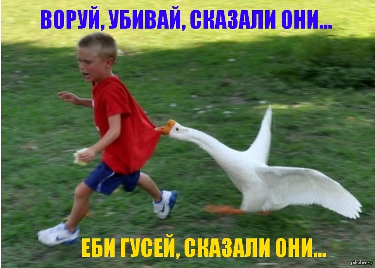 воруй-убивай