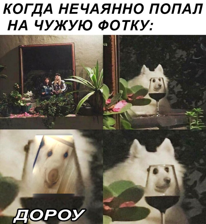 дороу дратути