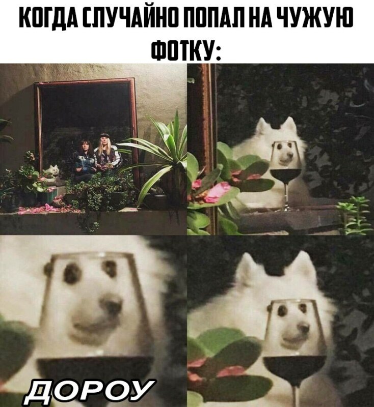 мем дороу
