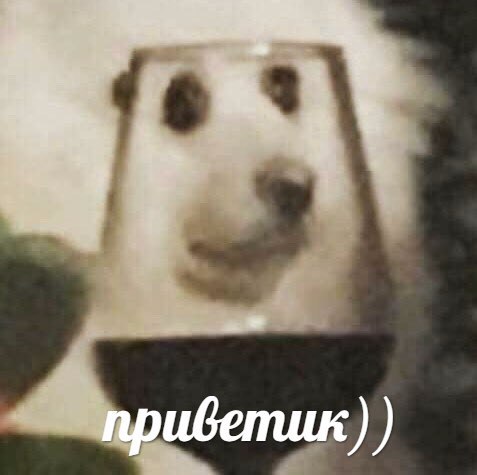 мем собака с бокалом вина
