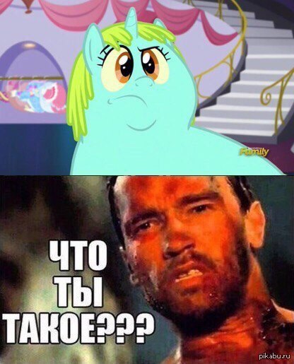что ты такое мем мем шварценеггер