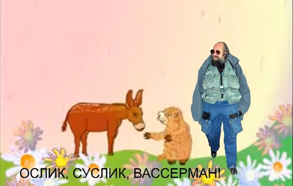 ослик суслик вассерман
