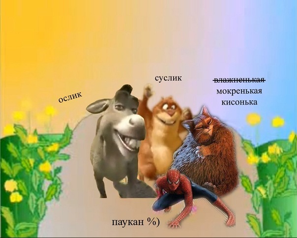 ослик суслик паукан