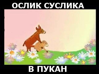 ослик суслика в пукан