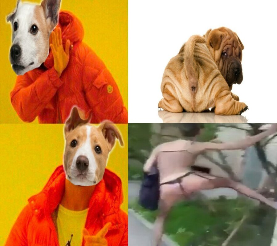 панин мем