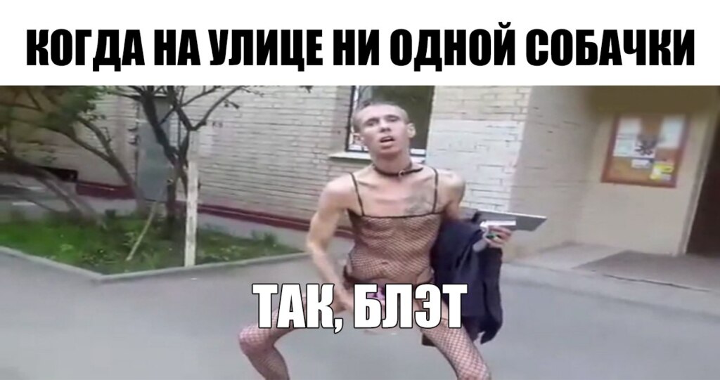 панин так блэт